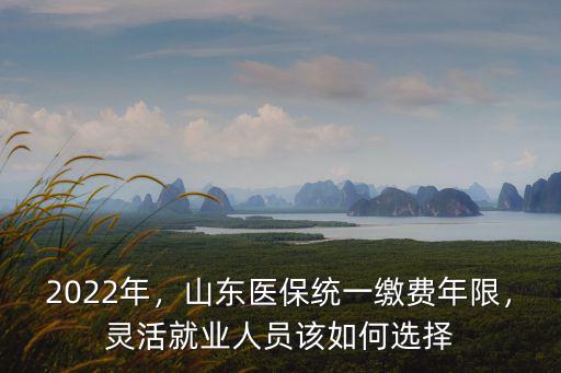 濟(jì)南靈活就業(yè)人員繳費(fèi)多少年,山東醫(yī)保統(tǒng)一繳費(fèi)年限
