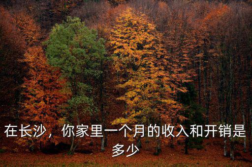 在長(zhǎng)沙，你家里一個(gè)月的收入和開(kāi)銷(xiāo)是多少