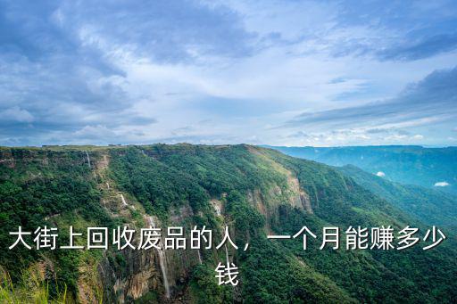大街上回收廢品的人，一個月能賺多少錢