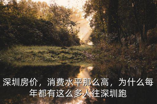 深圳的消費怎么那么高,在深圳生活消費真的這么高嗎