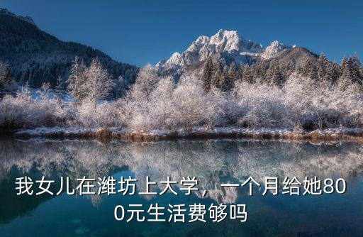 我女兒在濰坊上大學，一個月給她800元生活費夠嗎