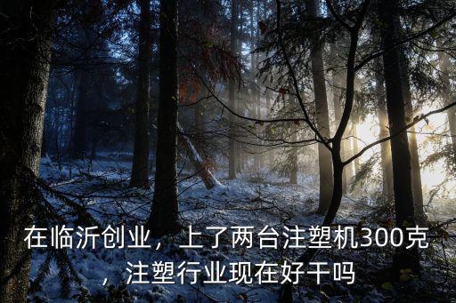 2000克二手臨沂注塑機(jī)多少錢一臺,注塑行業(yè)現(xiàn)在好干嗎