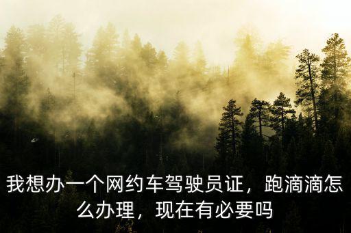 深圳滴滴司機怎么考證,深圳現在跑滴滴怎么樣