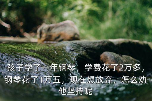 泰安學鋼琴一年多少錢,孩子學了一年鋼琴