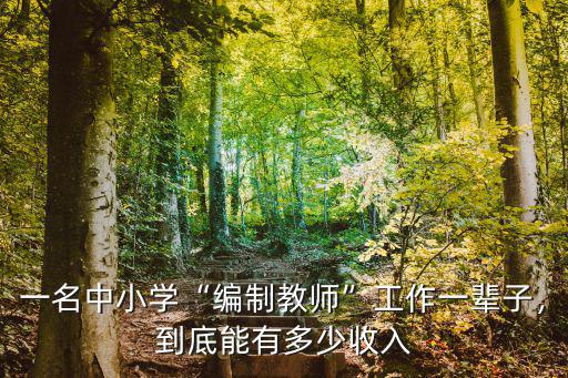 麗水編制教師工資多少,到底能有多少收入