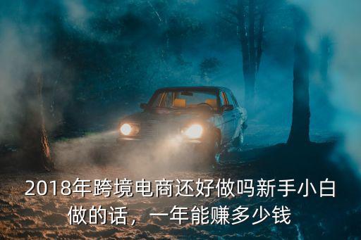 2018年跨境電商還好做嗎新手小白做的話，一年能賺多少錢