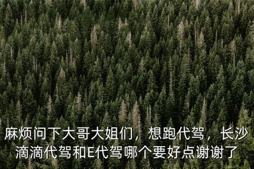 麻煩問下大哥大姐們，想跑代駕，長沙滴滴代駕和E代駕哪個要好點謝謝了