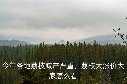 今年各地荔枝減產嚴重，荔枝大漲價大家怎么看