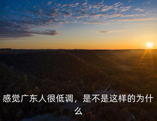 低調的廣東人怎么樣,感覺廣東人很低調