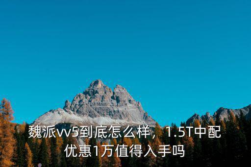濱州魏派vv5優惠多少,vv5落地多少錢