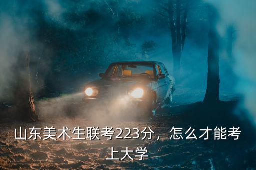 山東藝術(shù)聯(lián)考多少分過,山東省美術(shù)聯(lián)考考了225分