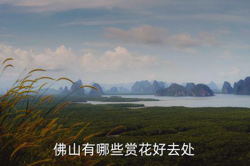 佛山有哪些賞花好去處