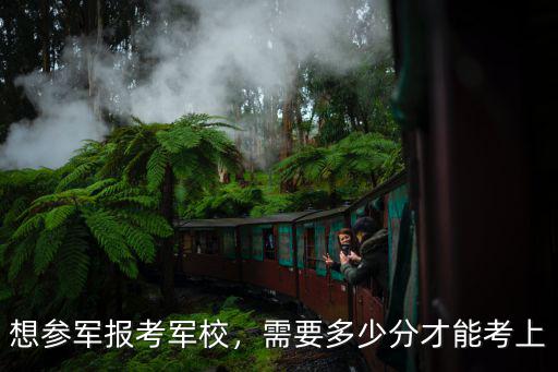 廣東省考生多少分數適合報考軍校,想參軍報考軍校