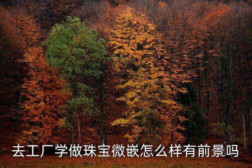 去工廠學(xué)做珠寶微嵌怎么樣有前景嗎