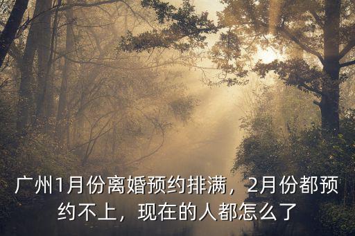 廣州離婚名額滿了怎么辦,廣州離婚預約名額爆滿
