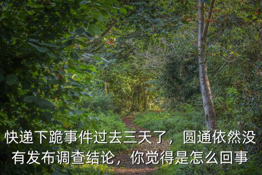 快遞下跪事件過去三天了，圓通依然沒有發(fā)布調(diào)查結(jié)論，你覺得是怎么回事