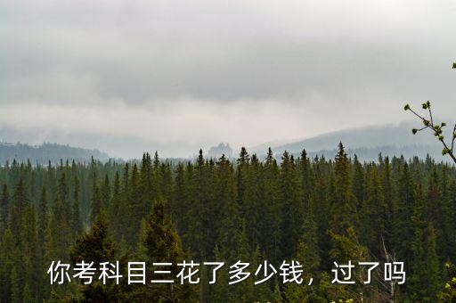 你考科目三花了多少錢，過了嗎
