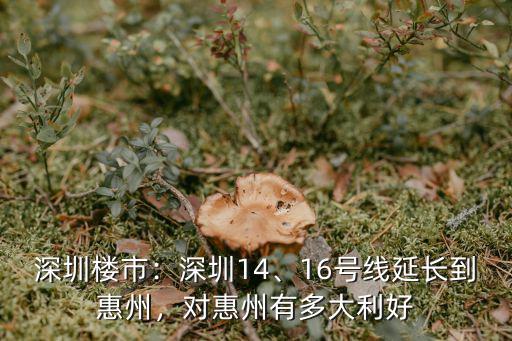 惠州到臨港16號線多少錢,16號線延長到惠州