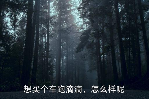 想買個(gè)車跑滴滴，怎么樣呢