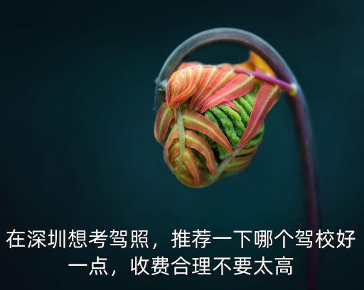 深圳飛翔駕校學費多少,在深圳拿到駕照需要多少錢