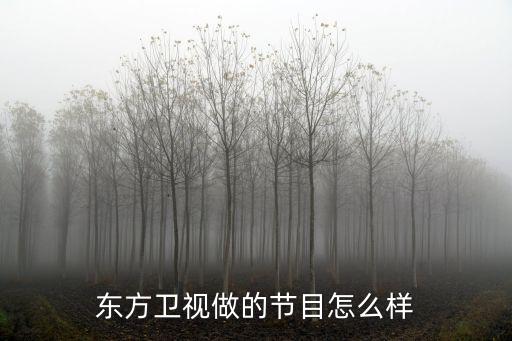 東方衛(wèi)視做的節(jié)目怎么樣