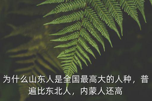 山東人有多少中國人,南方人說到山東人