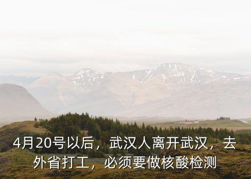 山東在武漢打工的多少人,武漢哪里的外來人口最多