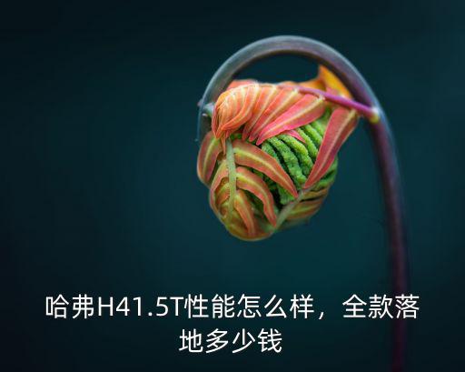 哈弗H41.5T性能怎么樣，全款落地多少錢