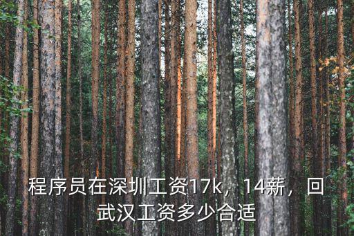 程序員在深圳工資17k，14薪，回武漢工資多少合適