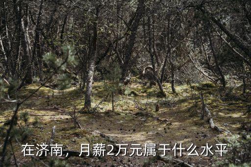在濟南要存多少錢,在濟南從懷孕到生