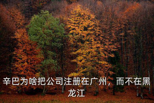 辛巴為啥把公司注冊在廣州，而不在黑龍江