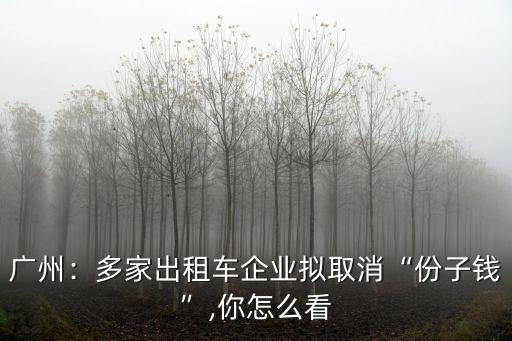 廣州：多家出租車企業擬取消“份子錢”,你怎么看