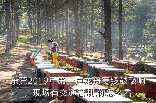 東莞2020年哪里有龍舟比賽,現場有交通管制