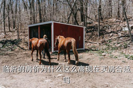 臨沂沂河邊的房價多少,臨沂樓房真實價格是多少