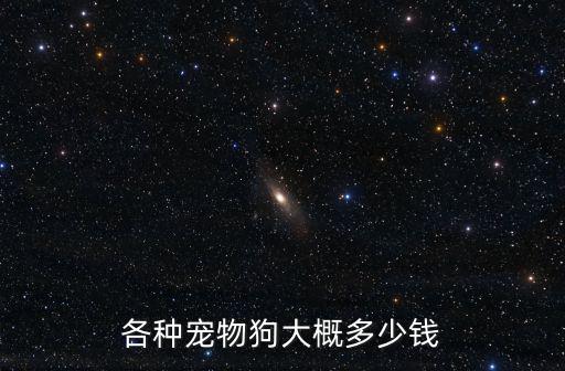 佛山迷你貴賓犬多少錢,巨型貴賓犬多少錢一只
