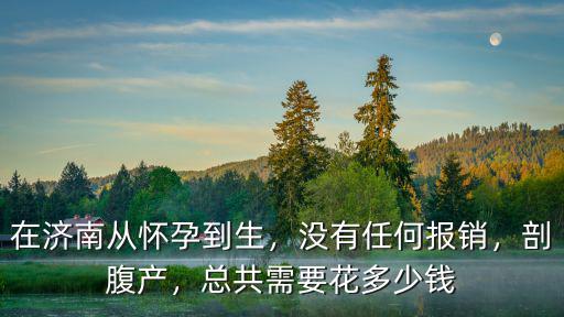 在濟(jì)南從懷孕到生，沒有任何報銷，剖腹產(chǎn)，總共需要花多少錢