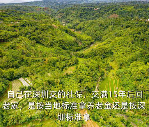 在深圳繳滿(mǎn)社保回老家怎么辦,自己在深圳交的社保