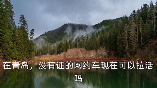在青島，沒有證的網約車現在可以拉活嗎