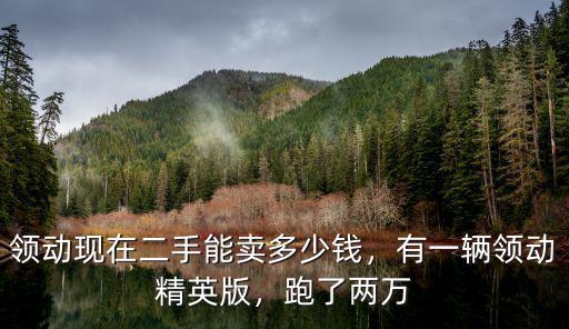 菏澤17年領(lǐng)動(dòng)二手車(chē)能賣(mài)多少,有一輛領(lǐng)動(dòng)精英版