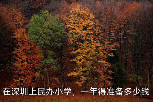 深圳公立小學學雜費大約多少,在深圳上民辦小學