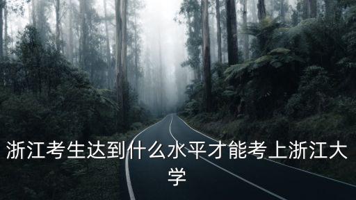 浙江大學(xué)對(duì)西藏考生降分多少,在江西的考生
