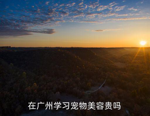 廣州寵物培訓(xùn)學(xué)校怎么樣,廣東哪里有寵物美容培訓(xùn)學(xué)校