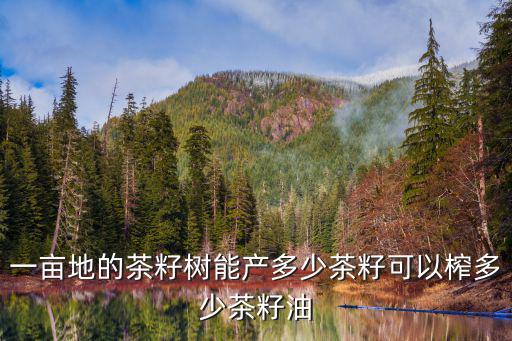一畝地的茶籽樹能產多少茶籽可以榨多少茶籽油