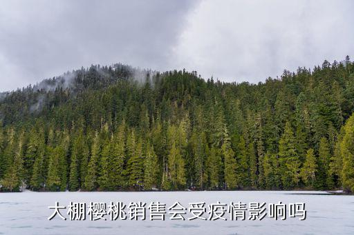 廣東溫室大棚櫻桃哪里賣,煙臺(tái)大棚櫻桃成熟都去哪賣