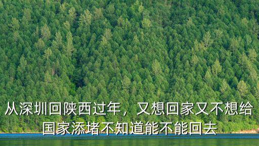 深圳回陜西有多少人,從深圳回陜西過年