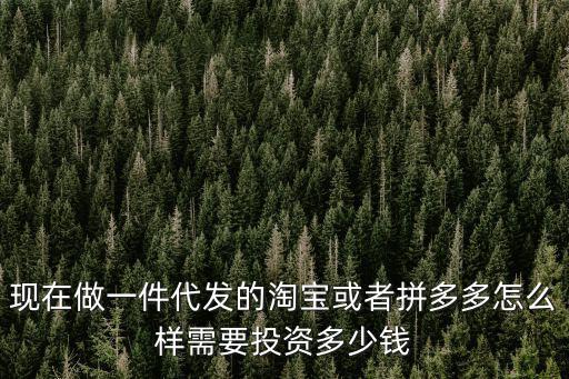 現(xiàn)在做一件代發(fā)的淘寶或者拼多多怎么樣需要投資多少錢