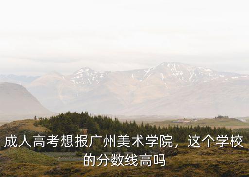 廣州美術學院成人高考怎么報名,廣美成人高考專升本要考什么