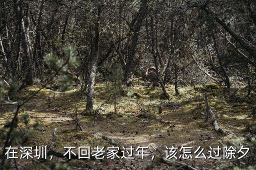在深圳，不回老家過年，該怎么過除夕