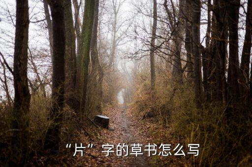 草書廣州怎么寫,怎樣寫好草書