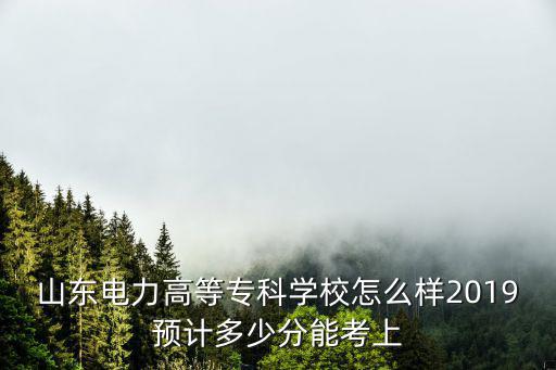 山東專科學校多少分招生名單,山東文科生考240分